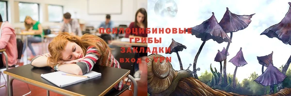 mdpv Надым