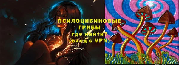 гидропоника Михайловка