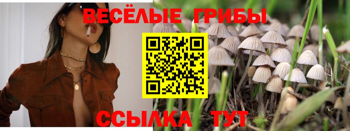 Галлюциногенные грибы GOLDEN TEACHER  Кирово-Чепецк  закладка  Галлюциногенные грибы Psilocybe 